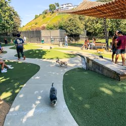 Dog Park at Oberrieder Park photo 2